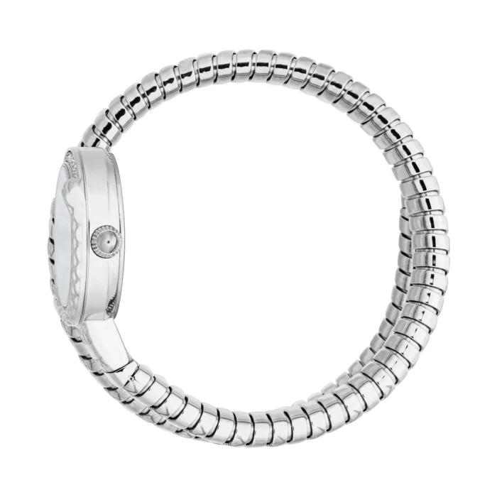 JC1L301M0085 S